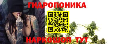 гашиш Кингисепп