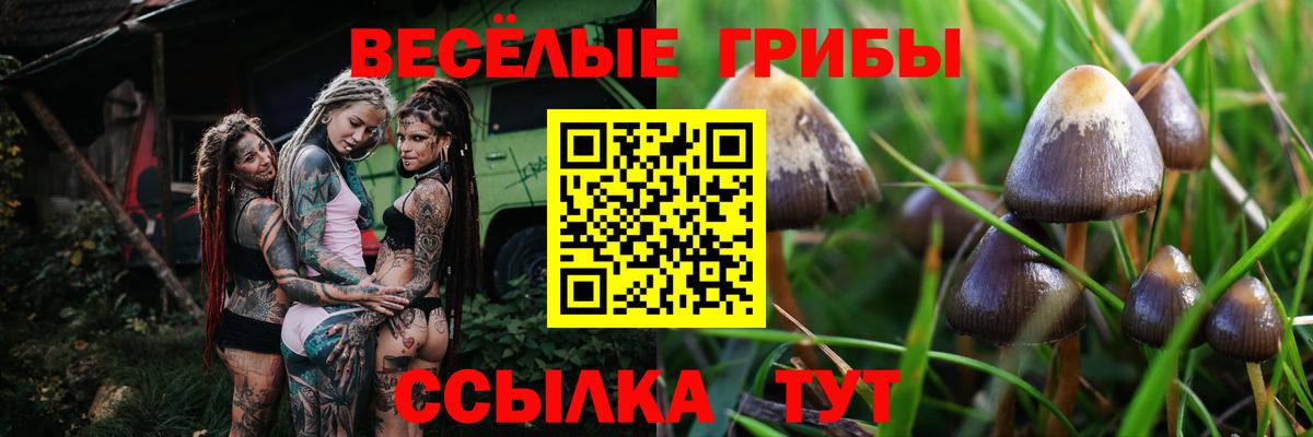 Псилоцибиновые грибы ЛСД  Вход с VPN  Псилоцибиновые грибы Psilocybine cubensis  Черкесск 